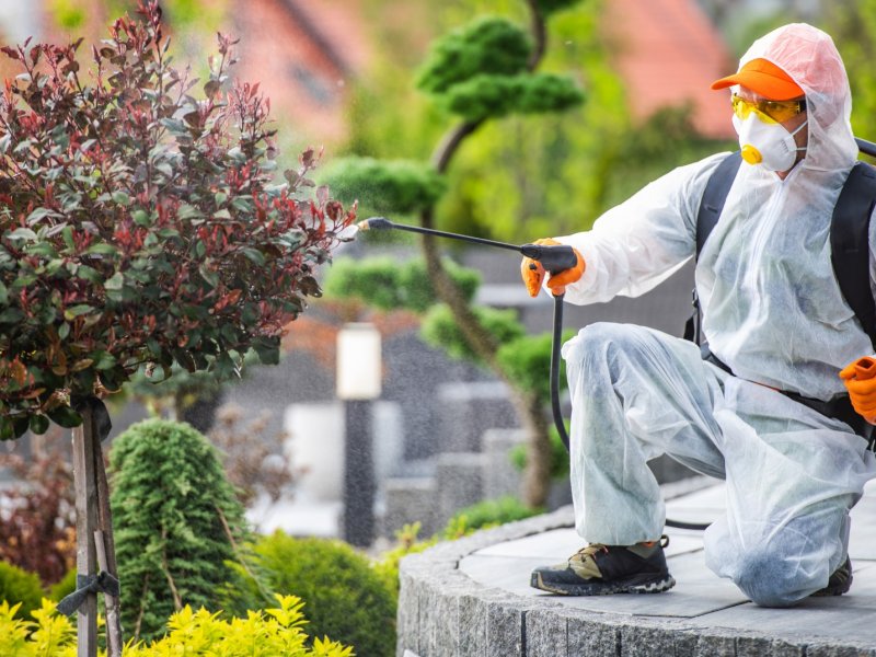 Marmaraereğlisi Haşere İlaçlama